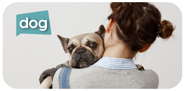 http://impetu.com.ar/shop/category/perro-318